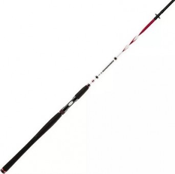 Спиннинг Penn Squadron II SW Spin 242 50-100g