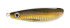 Незацепляйка Rapala Rattlin' Minnow Spoon 08