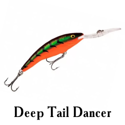 Deep Tail Dancer