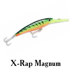 X-Rap Magnum