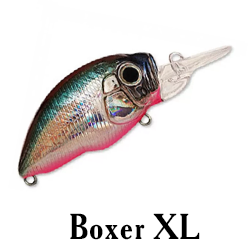 Boxer XL