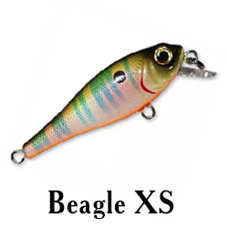 Beagle XS