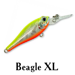 Beagle XL