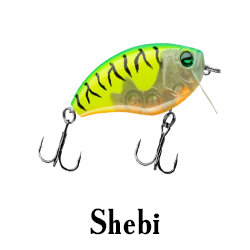 Shebi