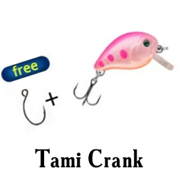 Tami Crank